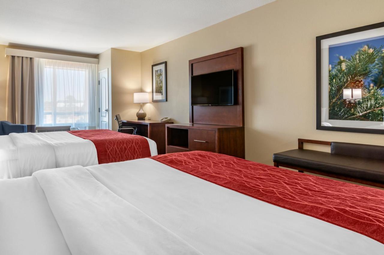 Comfort Inn & Suites Tifton Δωμάτιο φωτογραφία